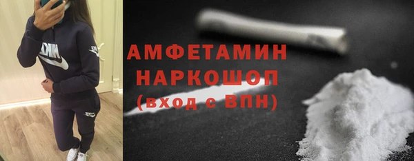 индика Няндома