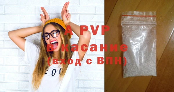 индика Няндома