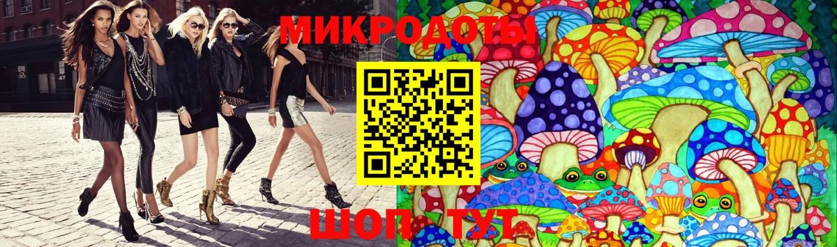 Псилоцибиновые грибы Psilocybe Рузаевка