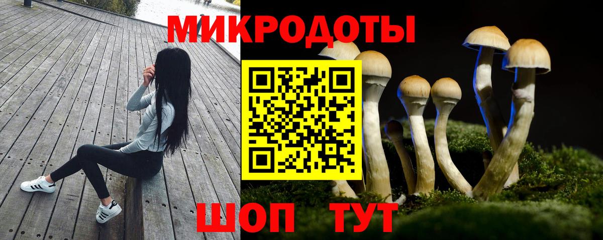 Псилоцибиновые грибы мухоморы  Галлюциногенные грибы мицелий  Рузаевка 