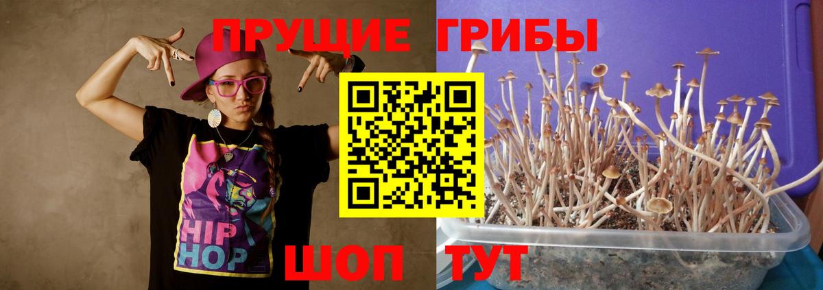 Рузаевка  Псилоцибиновые грибы Cubensis  где найти наркотики  Вход с VPN 